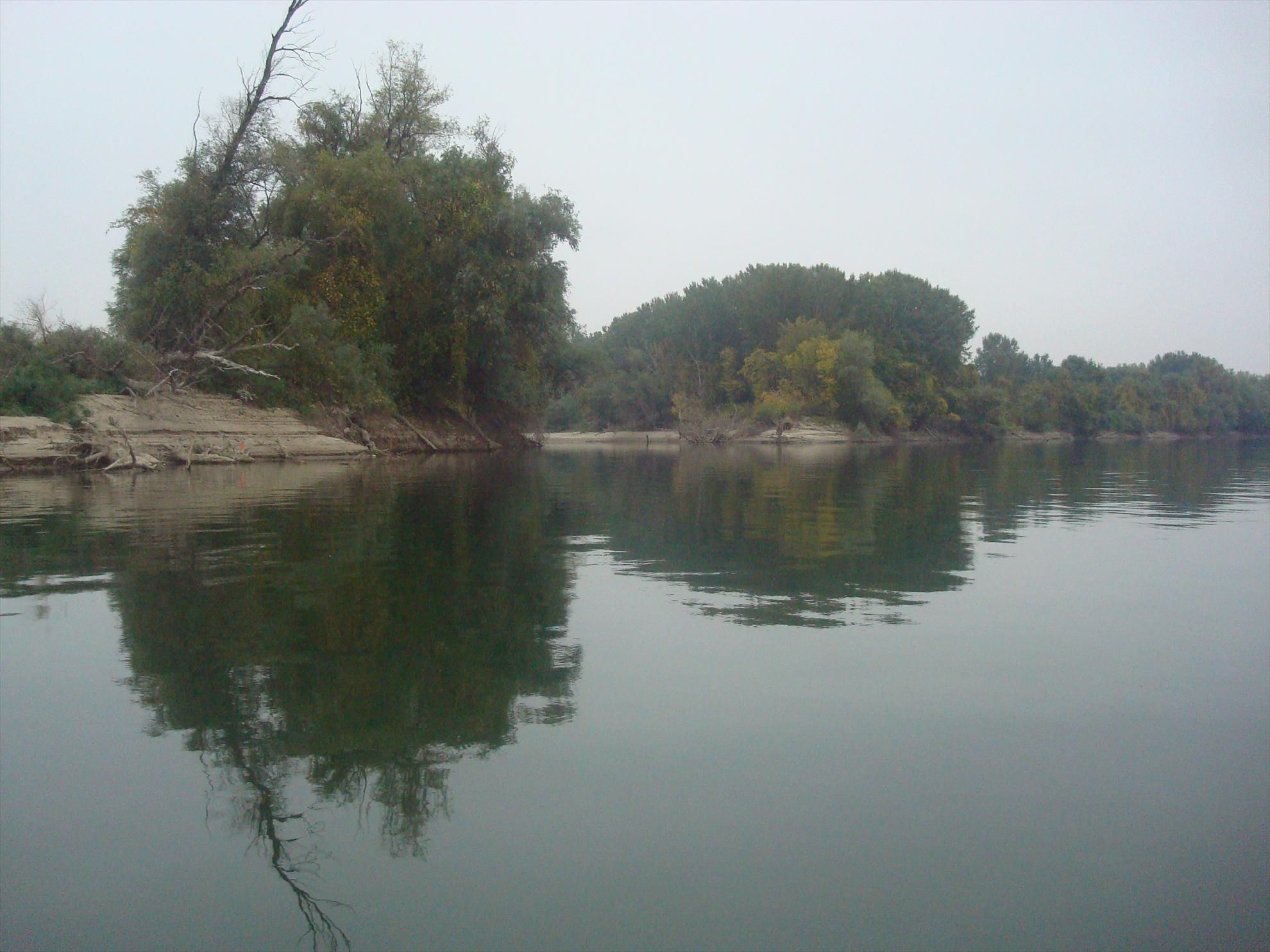 pescuit la Dunare - dsc04656.JPG